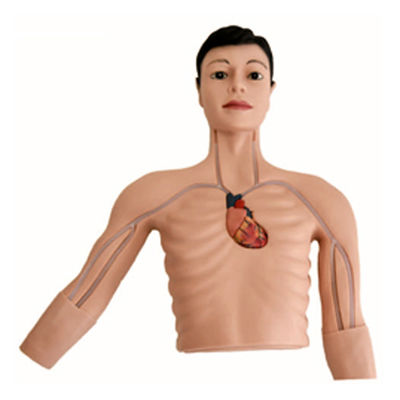 Advanced PVC PICC Intervention Simulator for Teaching Venous Puncture Skills Practice