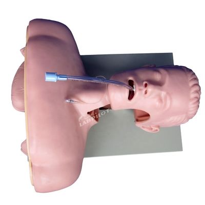 Electronic Intubation Training Head for Advanced Airway Management Model NG Tube Function