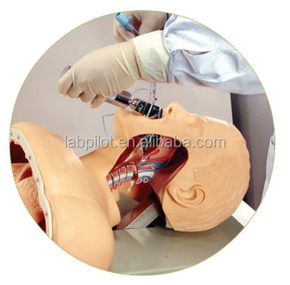 Electronic Intubation Training Head for Advanced Airway Management Model NG Tube Function