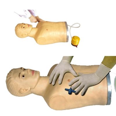 Advanced PVC Thoracic Puncture Manikin for Clinical Skills Demonstration and Training