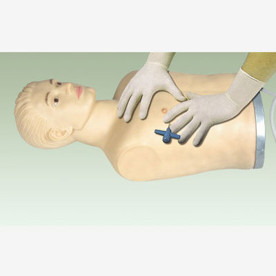 Advanced PVC Thoracic Puncture Manikin for Clinical Skills Demonstration and Training