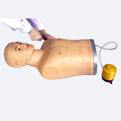Advanced PVC Thoracic Puncture Manikin for Clinical Skills Demonstration and Training