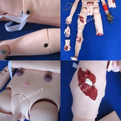 Comprehensive Nursing Mannequin for Trauma Care and Wound Management in Human Life Size