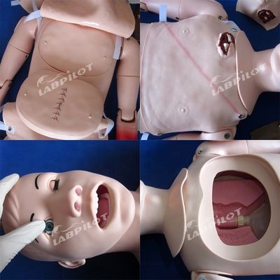 Comprehensive Nursing Mannequin for Trauma Care and Wound Management in Human Life Size