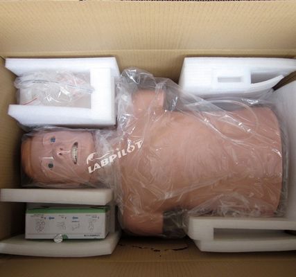 Professional Human Life Size Manikin for Adult Half Body CPR and Intubation Training