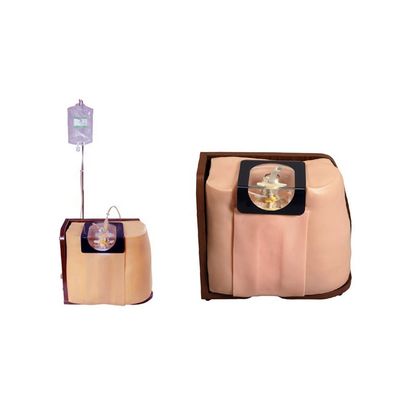 Lumbar Epidural and Caudal Anesthesia Training Simulator for Surgical Skills Teaching