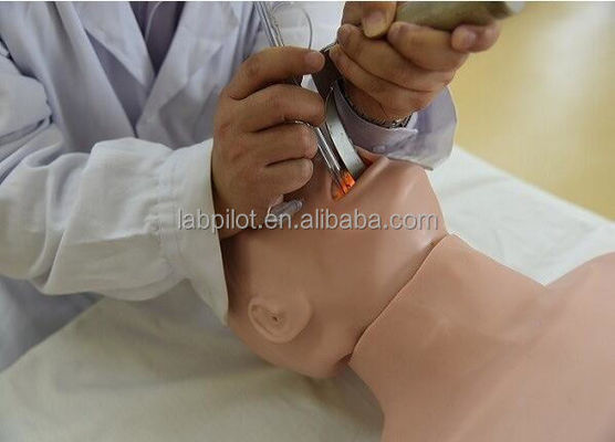 Improve Emergency Response Skills with Two-in-One CPR and Tracheal Intubation Manikin