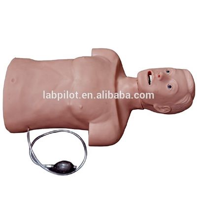 Improve Emergency Response Skills with Two-in-One CPR and Tracheal Intubation Manikin