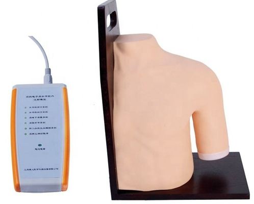 Advanced PVC Medical Training Shoulder Joint Intracavitary Injection Simulator Teaching Model