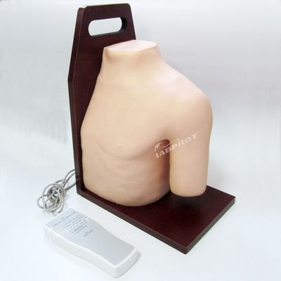 Advanced PVC Medical Training Shoulder Joint Intracavitary Injection Simulator Teaching Model