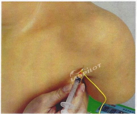 Advanced PVC Medical Training Shoulder Joint Intracavitary Injection Simulator Teaching Model