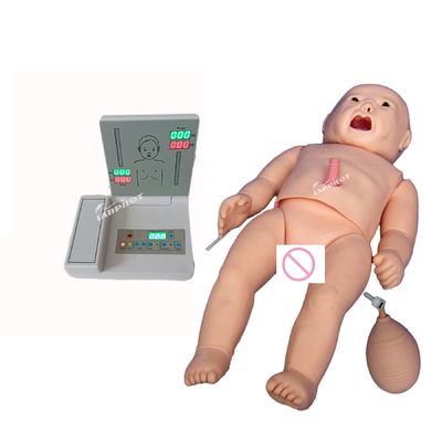 Realistic Skin Simulation PALS Newborn Baby Manikin for Auscultation and ECG Training