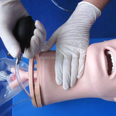 Advanced PVC Airway Management Model for Healthcare Intubation and Suction Training