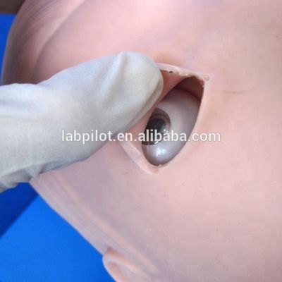 Advanced PVC Airway Management Model for Healthcare Intubation and Suction Training
