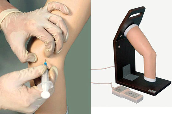 Advanced PVC Joint Intra-articular Injection Training Simulator for Human Elbow Model