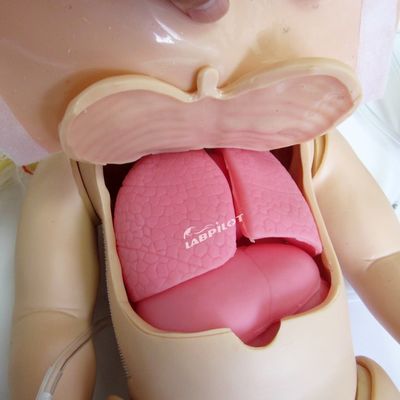 Advanced PVC Manikin for Full-functional Pediatric CPR and Infant Nursing Simulation