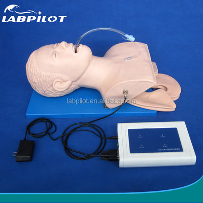 Adult Manikin Electronic Tracheal Intubation Simulator with Teeth Pressure Alarm