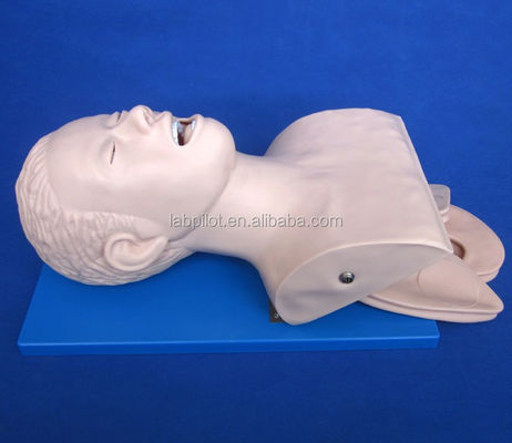 Adult Manikin Electronic Tracheal Intubation Simulator with Teeth Pressure Alarm
