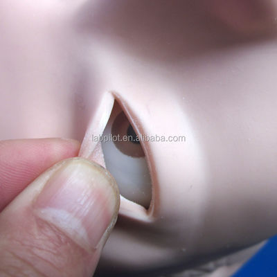 Adult Manikin Electronic Tracheal Intubation Simulator with Teeth Pressure Alarm