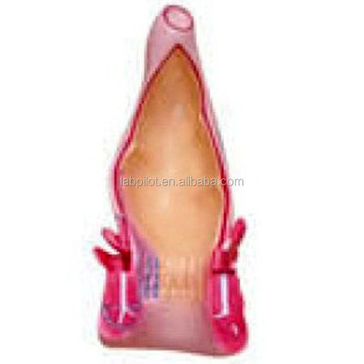 Detailed Anatomy Structures Human Rectum and Anal Canal Model for Medical Conferences