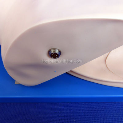 Adult Manikin Electronic Tracheal Intubation Simulator with Teeth Pressure Alarm