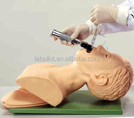 Adult Manikin Electronic Tracheal Intubation Simulator with Teeth Pressure Alarm