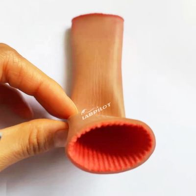 Intestinal Anastomosis Training Model for Medical Students Laparoscopic Suture Practice