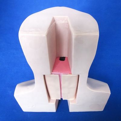 Advanced CPR Training Airway Management Simulator HOT Model for Medical Professionals