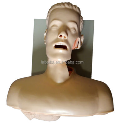 Electronic Warning Oral and Nasal Intubation Trainer for Emergency Skills Training
