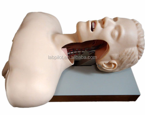 Electronic Warning Oral and Nasal Intubation Trainer for Emergency Skills Training
