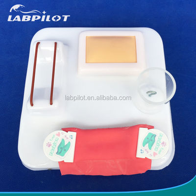 Patients Care Demonstration Human Life Size Intestinal Anastomosis and Suture Practice Pad