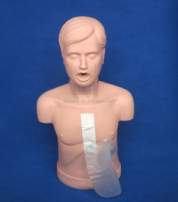 Adult CPR Training Manikin with Advanced Airway Open and Heimlich Maneuver Simulation