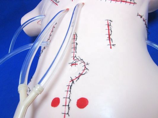 Realistic Appendectomy Teaching Model for Bandage and Suture Skills Surgical Dummy
