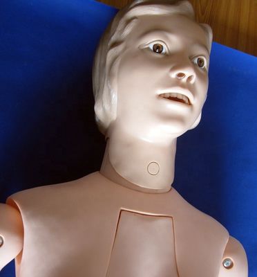 Internal Organs Nursing Training Manikin for Human Life Size Patients Care Demonstration