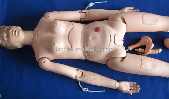 Internal Organs Nursing Training Manikin for Human Life Size Patients Care Demonstration