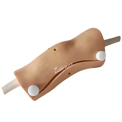 Advanced Knee Arthroscopy Model Clinical Nursing Skills Training with Advanced PVC Plastic