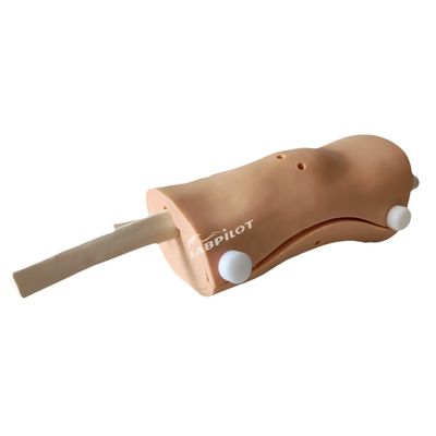 Advanced Knee Arthroscopy Model Clinical Nursing Skills Training with Advanced PVC Plastic
