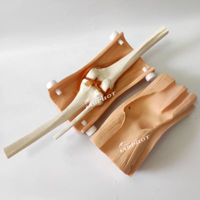 Advanced Knee Arthroscopy Model Clinical Nursing Skills Training with Advanced PVC Plastic