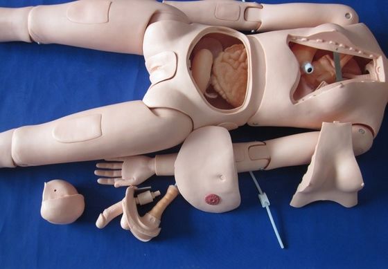 Human Life Size Nursing Mannequin for Patients Care Demonstration Full-body Female