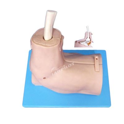 Medical Examination Training Simulator for Shoulder Arthroscopy Hospitals' Top Choice