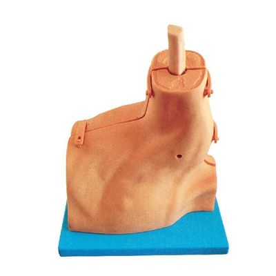 Medical Examination Training Simulator for Shoulder Arthroscopy Hospitals' Top Choice