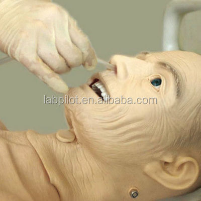 Full-functional Elderly Nursing Training Manikin with Blood Pressure Functionality