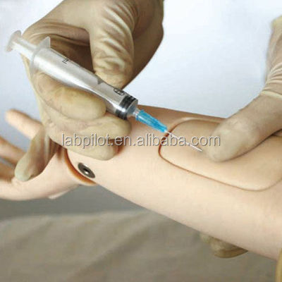 Full-functional Elderly Nursing Training Manikin with Blood Pressure Functionality