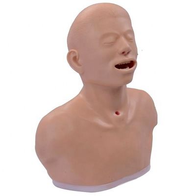 Advanced PVC Thyroid Examination Training Model Endocrine Inspection Teaching Tool