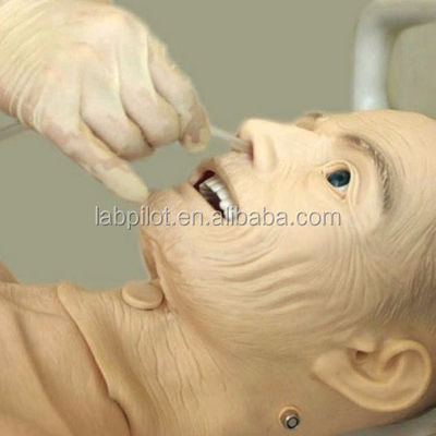 Manikin for Nursing CPR BP Training The Key to Successful Elderly Patient Caregiving