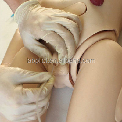 Comprehensive Maternity and Pediatric Care Mannequin for Advanced PVC CPR ECG Training