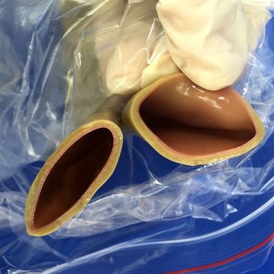 Surgical Skills Training Model for Intestinal Anastomosis Realistic Human Simulation
