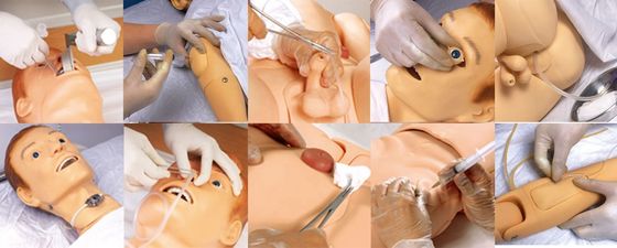 Categories Comprehensive Nursing Care Practice Multi-functional Male Patient Simulator