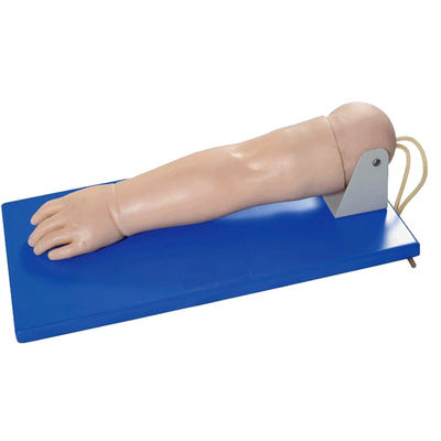 Advanced Pediatric Venipuncture Arm for Patients Care Demonstration Human Life Size