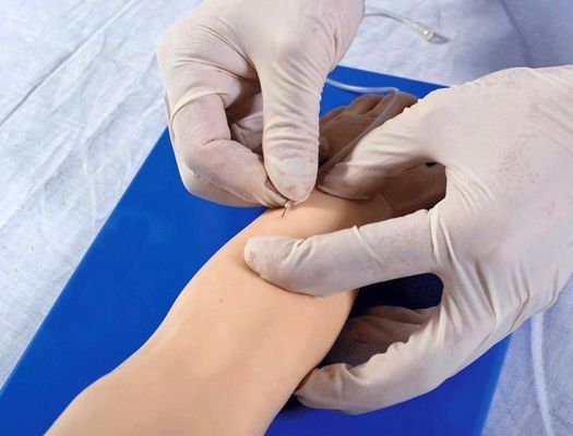Advanced Pediatric Venipuncture Arm for Patients Care Demonstration Human Life Size